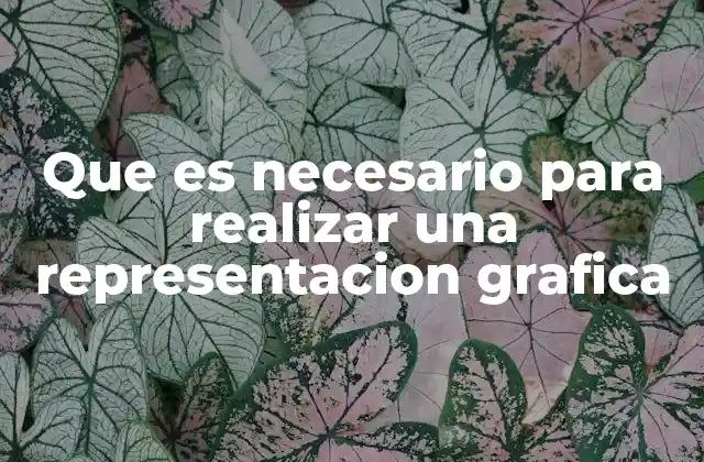 Que es Necesario para Realizar una Representacion Grafica