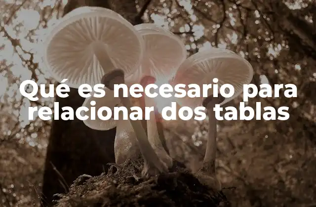 Qué es Necesario para Relacionar Dos Tablas 2 Cómo establecer una conexión lógica entre conjuntos de datos