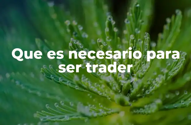 Que es Necesario para Ser Trader 2 Cómo construir una base sólida antes de operar