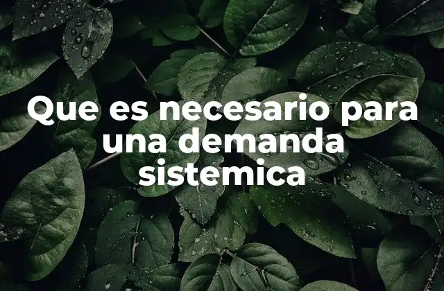 Los requisitos formales para presentar una acción judicial