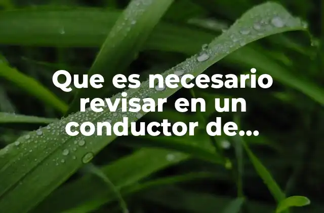 Que es Necesario Revisar en un Conductor de Electricidad