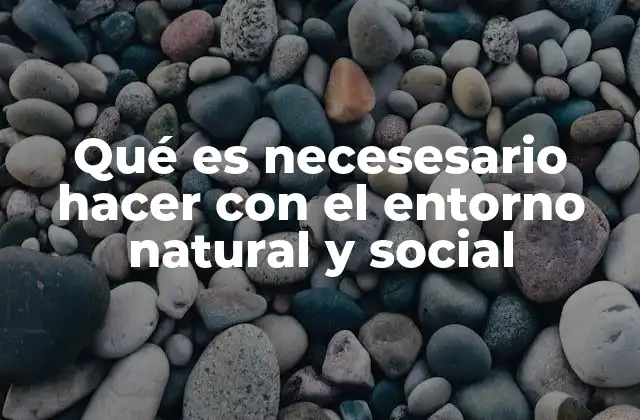 Qué es Necesesario Hacer con el Entorno Natural y Social