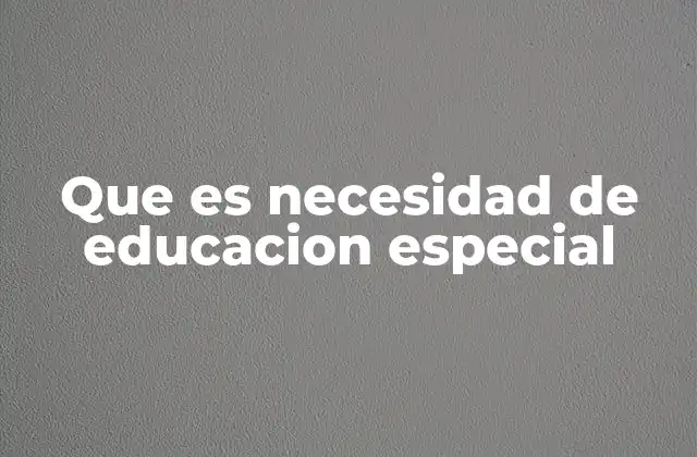 Que es Necesidad de Educacion Especial