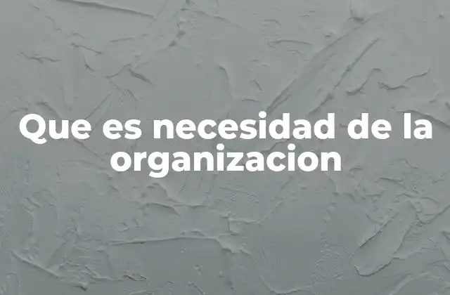 Que es Necesidad de la Organizacion