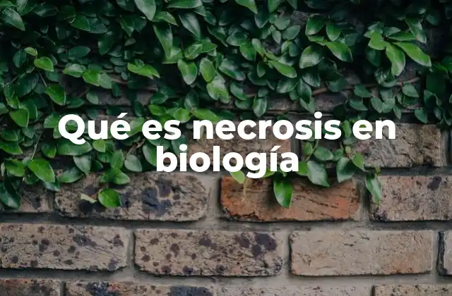Qué es Necrosis en Biología