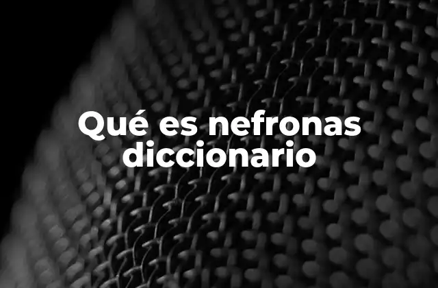 Qué es Nefronas Diccionario 2 Estructura y función de las nefronas