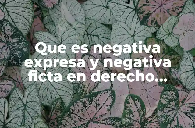 Que es Negativa Expresa y Negativa Ficta en Derecho Administrativo