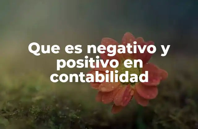 Que es Negativo y Positivo en Contabilidad 2 El balance entre ingresos y gastos como reflejo de positivo y negativo