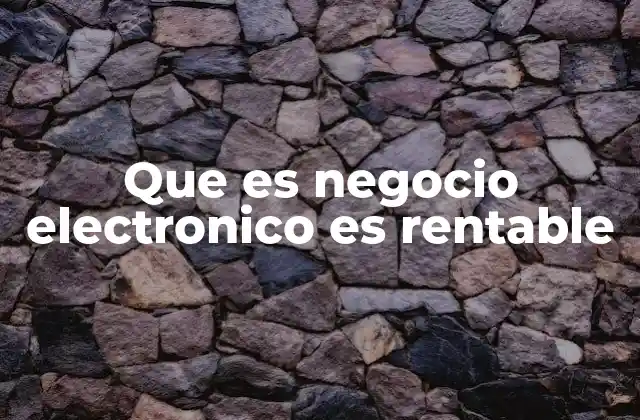 Que es Negocio Electronico es Rentable