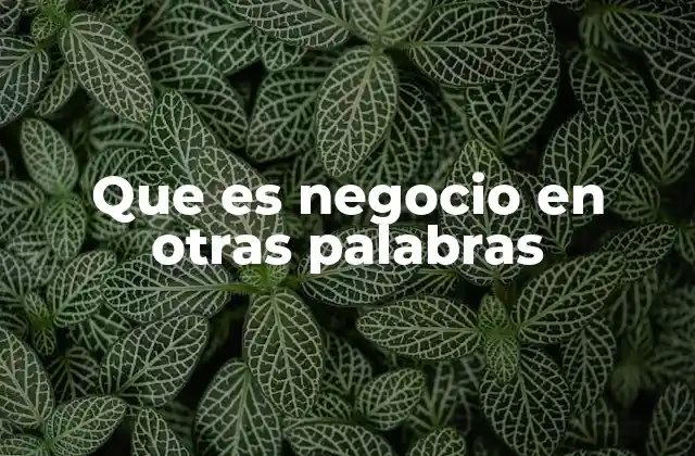 Que es Negocio en Otras Palabras