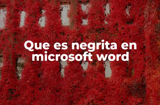 Que es Negrita en Microsoft Word