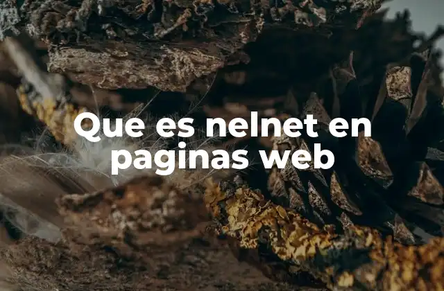 El papel de Nelnet en el entorno digital