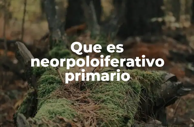 Que es Neorpoloiferativo Primario 2 El papel de los folículos en la reproducción femenina