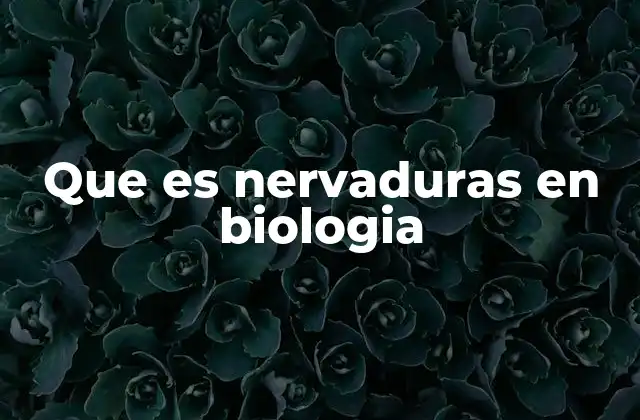 La importancia de las nervaduras en la fisiología vegetal