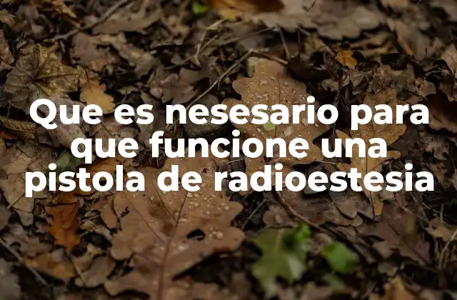Que es Nesesario para que Funcione una Pistola de Radioestesia
