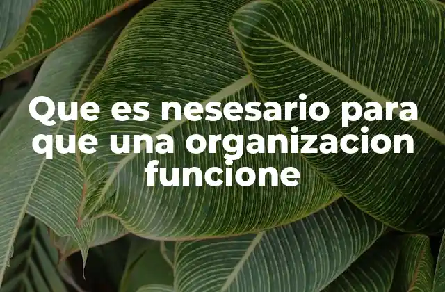 Que es Nesesario para que una Organizacion Funcione