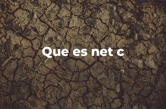 Que es Net C