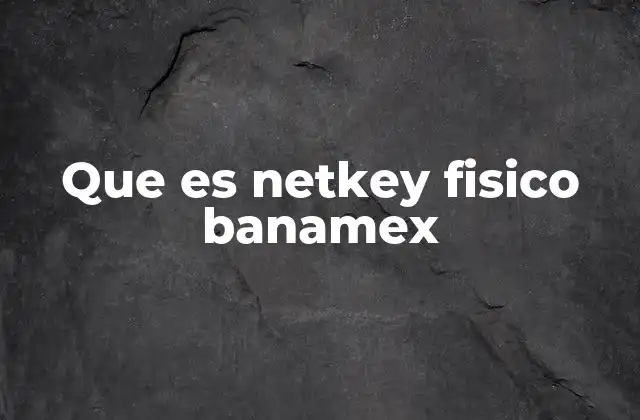 Que es Netkey Fisico Banamex