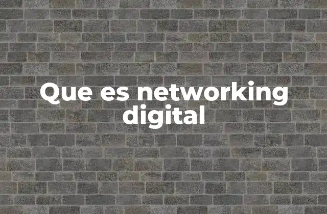 Que es Networking Digital