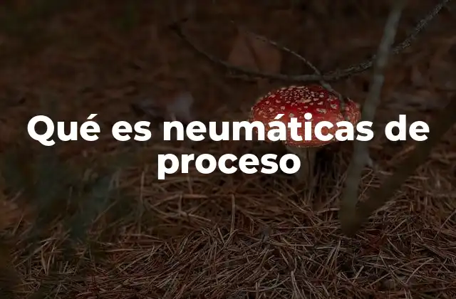 Qué es Neumáticas de Proceso