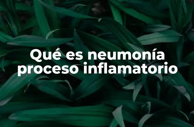 Qué es Neumonía Proceso Inflamatorio