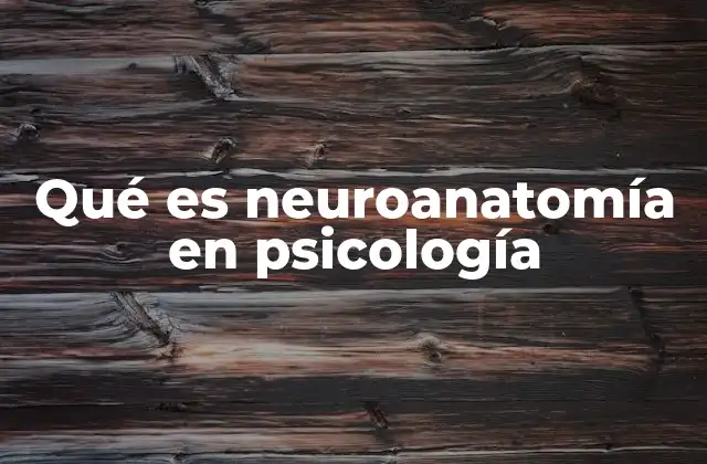 Qué es Neuroanatomía en Psicología 2 La relación entre estructura cerebral y comportamiento humano