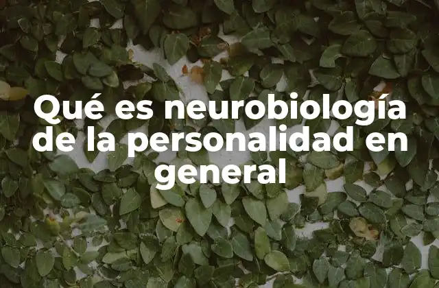 Qué es Neurobiología de la Personalidad en General 2 Cómo el cerebro construye la personalidad