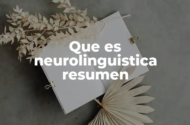 Que es Neurolinguistica Resumen