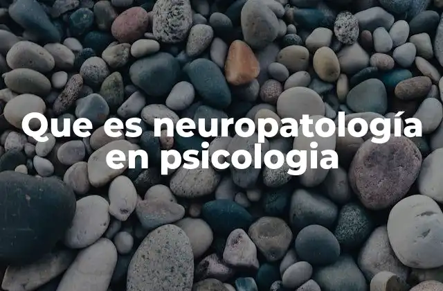 La conexión entre el cerebro y la salud mental