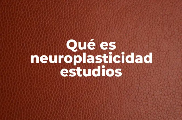 Qué es Neuroplasticidad Estudios 2 El cerebro en movimiento: cómo la neuroplasticidad redefine nuestra comprensión
