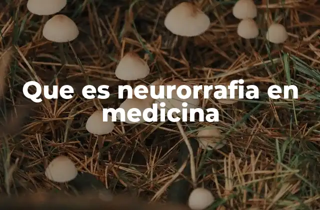 Que es Neurorrafia en Medicina