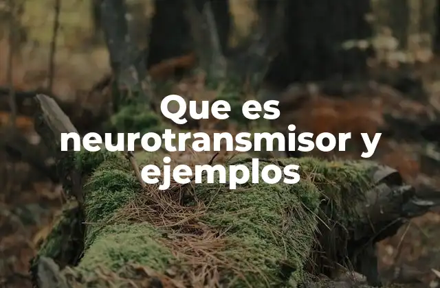 Que es Neurotransmisor y Ejemplos