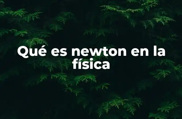 Qué es Newton en la Física