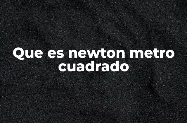 Que es Newton Metro Cuadrado