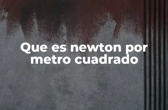 Que es Newton por Metro Cuadrado
