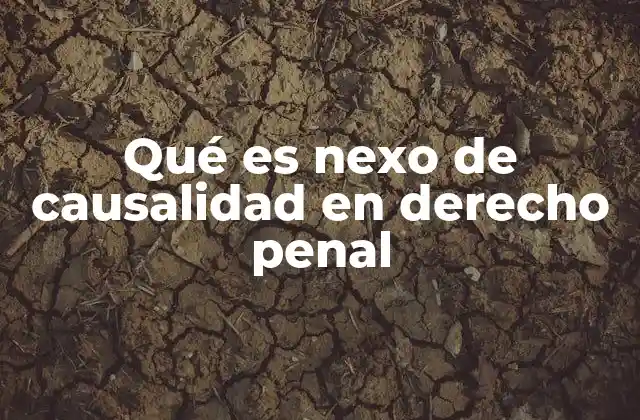 Qué es Nexo de Causalidad en Derecho Penal