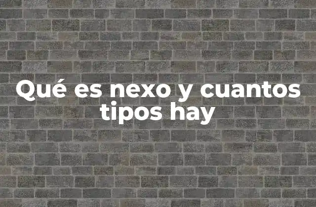 Qué es Nexo y Cuantos Tipos Hay