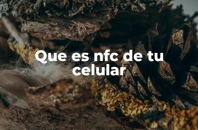 Que es Nfc de Tu Celular