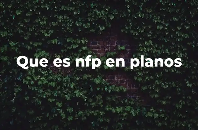 Que es Nfp en Planos