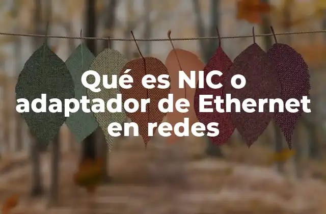 Qué es Nic o Adaptador de Ethernet en Redes