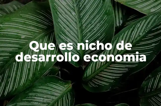 Que es Nicho de Desarrollo Economia