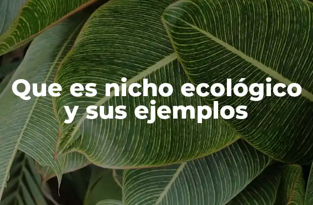 Que es Nicho Ecológico y Sus Ejemplos