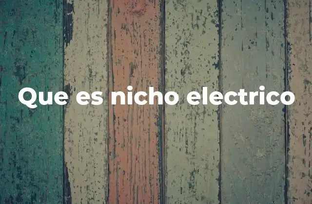 Que es Nicho Electrico