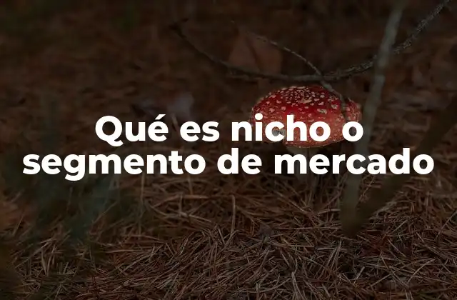 La importancia de definir correctamente los segmentos