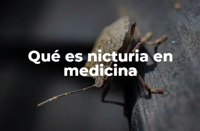 Qué es Nicturia en Medicina