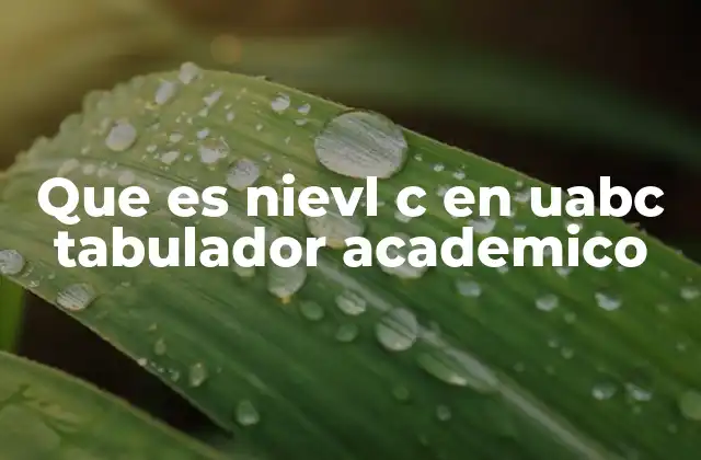 Que es Nievl C en Uabc Tabulador Academico