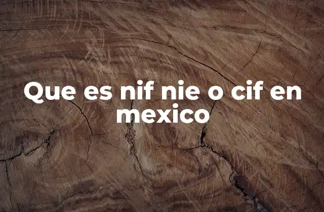 Que es Nif Nie o Cif en Mexico