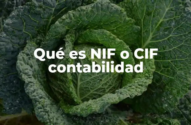 Qué es Nif o Cif Contabilidad