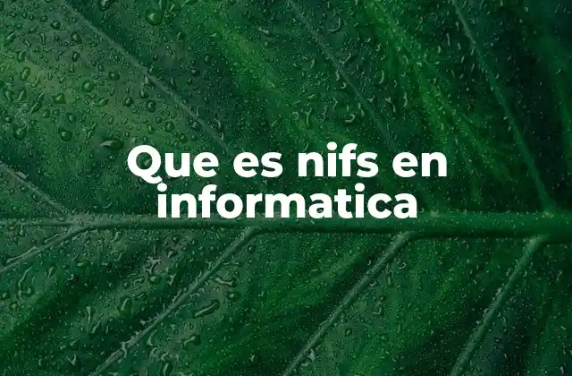 Que es Nifs en Informatica