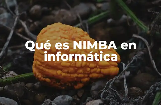 Qué es Nimba en Informática